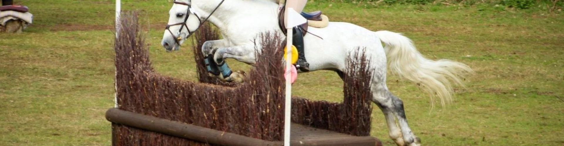 Header Image