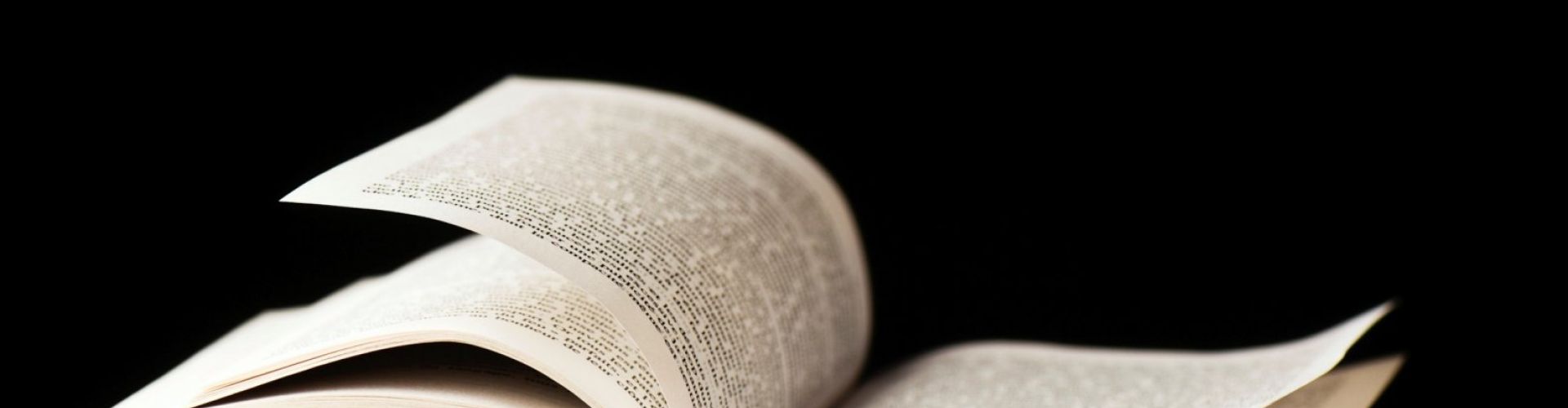 Header Image